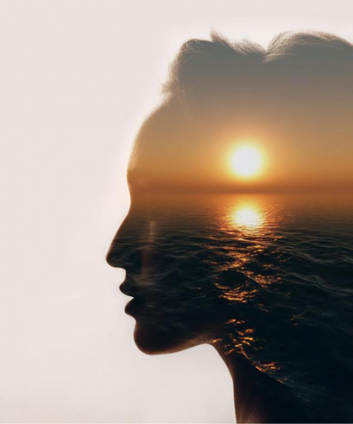 pic1